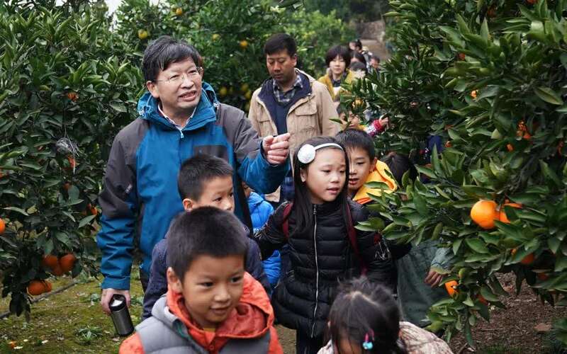 确认了“绝版”华为旗舰上市用上麒麟9000芯片？林海