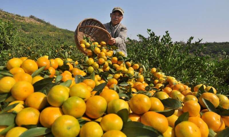 董浩谈名嘴出走央视：每个人追求不同（图）董浩简历