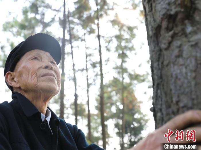 湖南东安99岁老人四十载植树造林300余亩