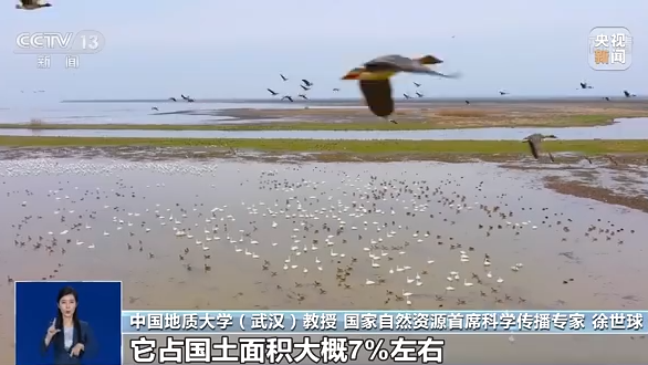 湿地何以成为“大地之肾”？我们应如何保护湿地？——人民政协网