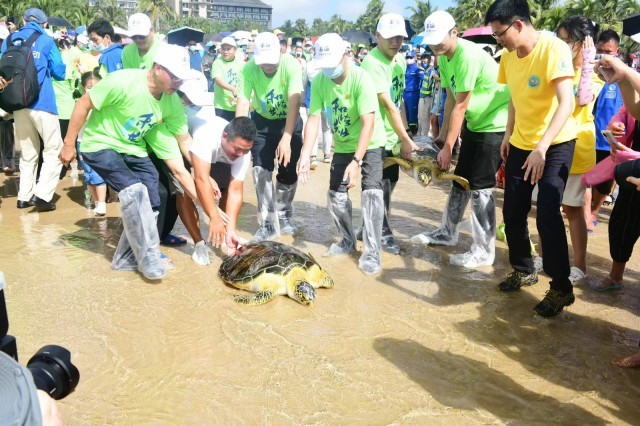 第八届“南海海龟保护行动”公益活动在文昌举行
