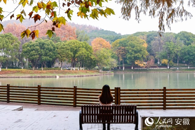 在芜湖雕塑公园，市民正坐在芙蓉湖畔小憩。人民网 张俊摄
