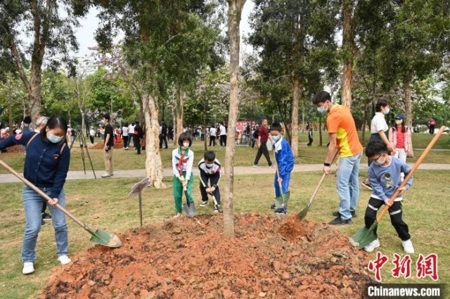 图为参与活动的亲子家庭在广州市儿童公园为树苗覆土。　陈楚红 摄