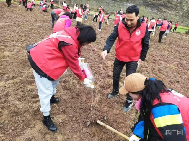 甘陕两省“志愿红”携手播种“生态绿”