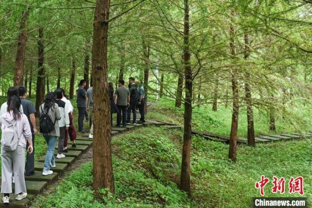 山峡库区重庆万州：生物标本后面的“”bob电竞体育平台故事(图3)