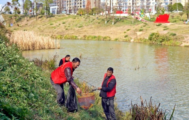2023年12月13日， 贵州省纳雍县珙桐街道白水河畔，志愿者在清理河道漂浮物。（杨英 摄）.jpg