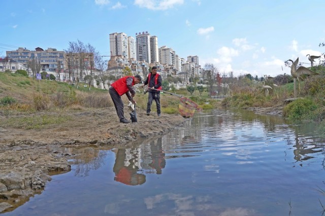 2023年12月13日，贵州省纳雍县珙桐街道白水河公园 ，志愿者在清理河道漂浮物。（杨 英 摄）.jpg