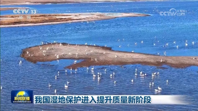 开元体育网站入口我国湿地保护进入提升质量