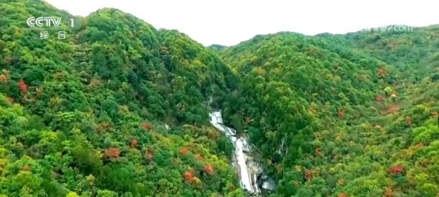 BOB半岛天蓝、地绿、水清绿意涌动！一批重大生态环境修复治理工程陆续展开(图6)