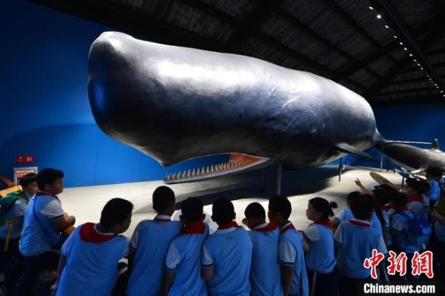 山东青岛：小学生开启海洋科普之旅迎国际博物馆日