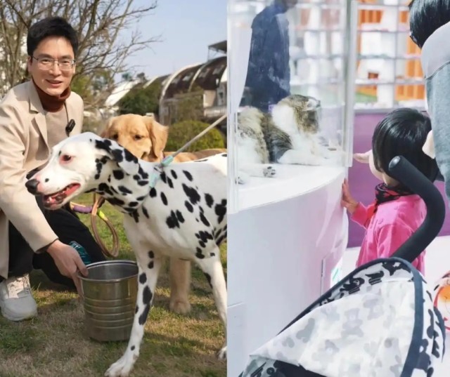 �˳��Ѻù������ܷ��߹�ͼ��