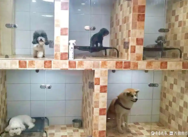 �������ڳ����Ĺ����� ��Ϳ������ṩ��