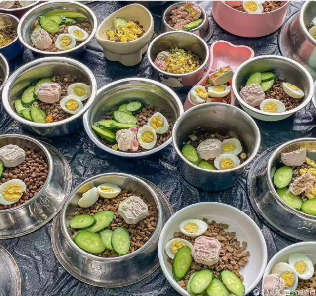 (Ϊ������������ʳ�±� ������ṩ��