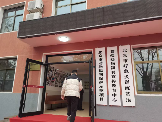 ������ͼ���׶���������Э�ᶯ�︣�������������ġ�ͼƬ��Դ���׶���������Э�ᡣ��