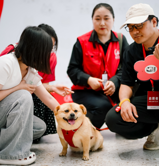 ������ͼ������Ȯ��־Ը�߻������˳��г�ദ����ů�⡣ͼƬ��Դ���׶���������Э�ᡣ��