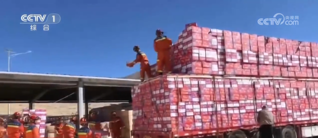 多方救援力量持续增援西藏定日_首批中央救灾物资已全部运抵灾区 图9