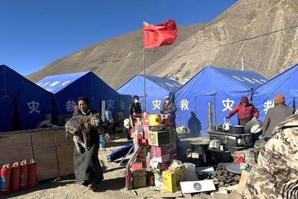 一车有温度的牛粪 图1