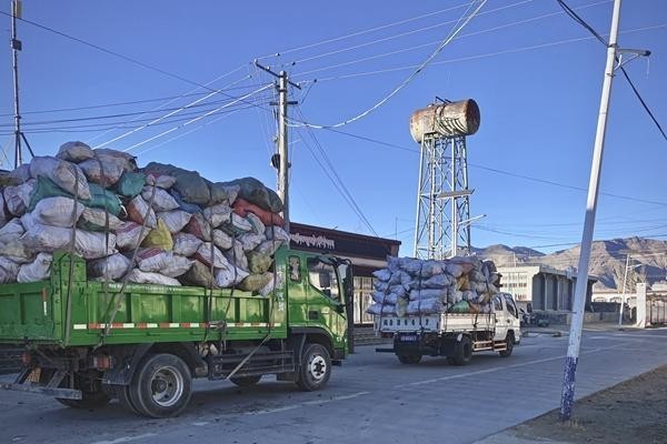 一车有温度的牛粪 图2