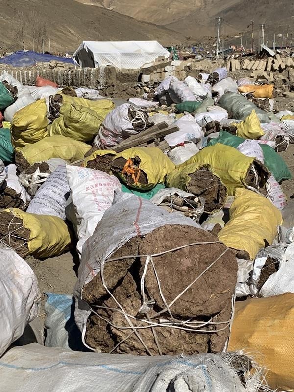 一车有温度的牛粪 图3