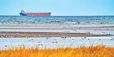 河北省秦皇岛市多措并举推进岸滩环境整治—— 图3