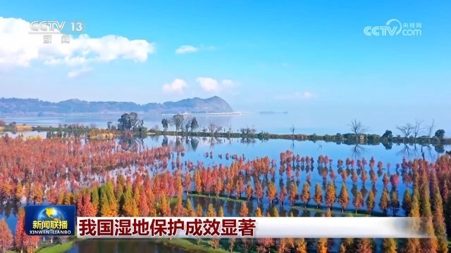 我国湿地保护成效显著 图1