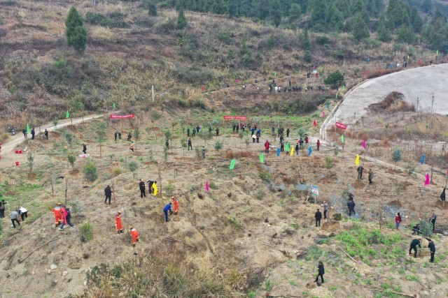 贵州镇远开展2025年义务植树活动 图1