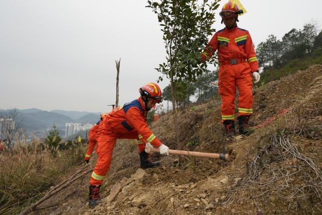 贵州镇远开展2025年义务植树活动 图2