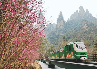 张家界国家森林公园 图1