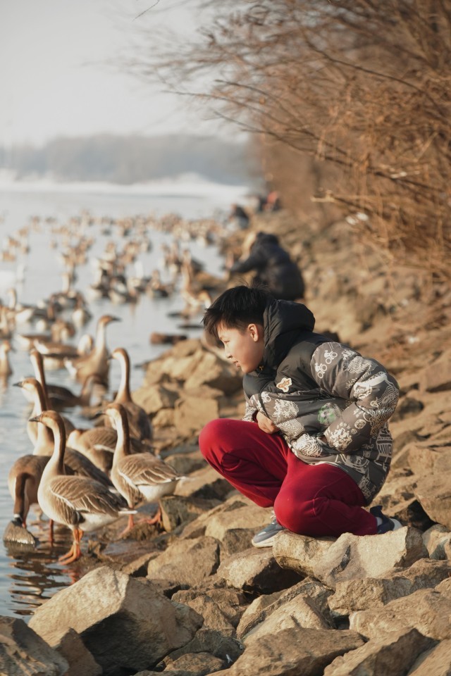 辽宁沈阳：浑河流域吸引上千只候鸟栖息越冬 图4