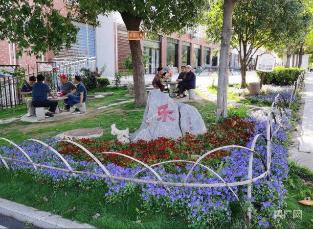 李湾花开，绽放在居民心间 图2