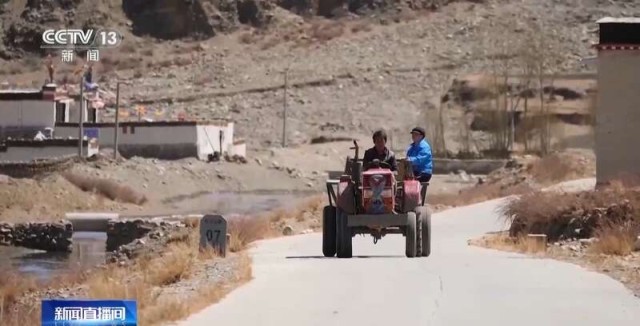 报效祖国_建功西部丨90后扎根高原11年_带领村民解锁致富新方式 图11
