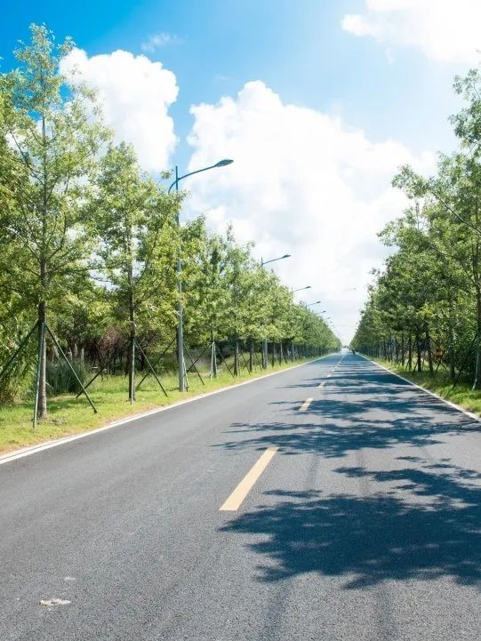 一场可持续的青年驻村计划——漕泾站启动招募！ 图3