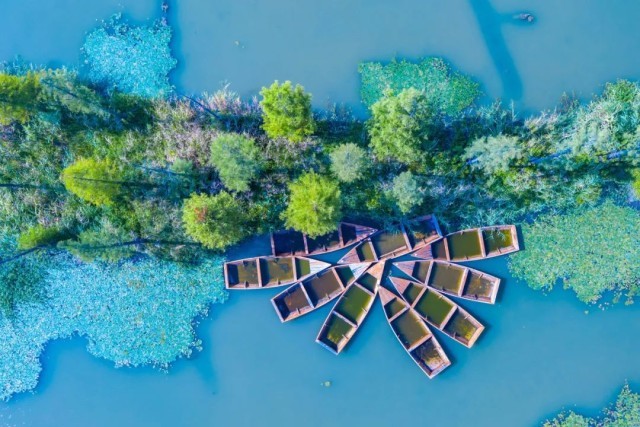 一场可持续的青年驻村计划——漕泾站启动招募！ 图5