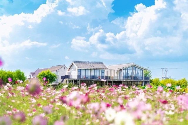 一场可持续的青年驻村计划——漕泾站启动招募！ 图6