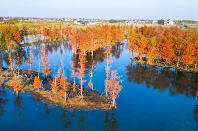 一场可持续的青年驻村计划——漕泾站启动招募！ 图7