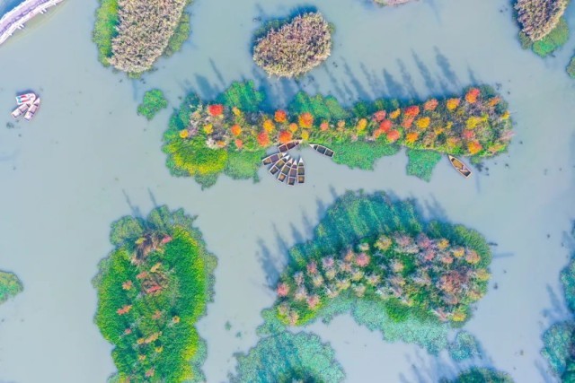 一场可持续的青年驻村计划——漕泾站启动招募！ 图14