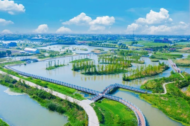 一场可持续的青年驻村计划——漕泾站启动招募！ 图15