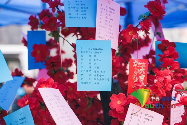 北京市通州区梨园镇：打造全龄志愿服务队伍_实现志愿服务“零距‘梨’” 图6