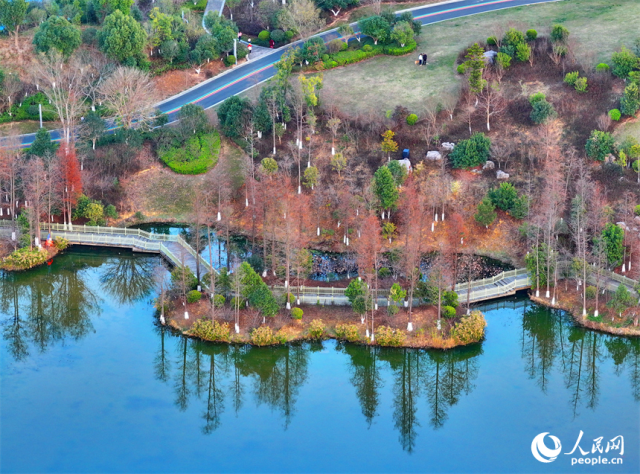 江西安远：春染“微公园”_扮靓“绿空间” 图2