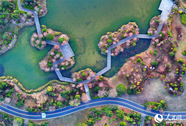 江西安远：春染“微公园”_扮靓“绿空间” 图6