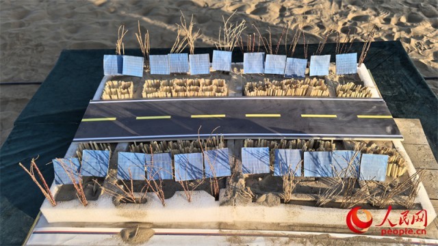 焕“新”之路丨沙海锁绿边_荒漠掘金山 图4