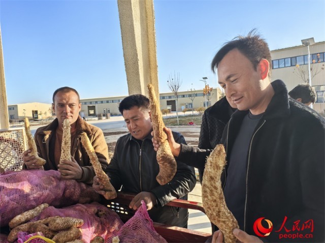 焕“新”之路丨沙海锁绿边_荒漠掘金山 图6