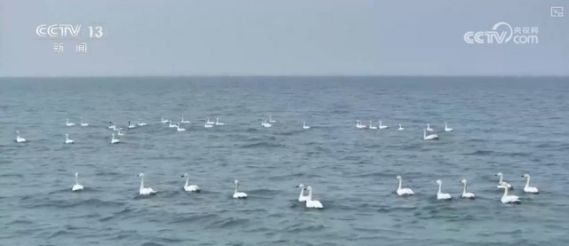 精细化、精准化、挖掘细节……从《政府工作报告》看蓝天碧水保卫战 图6