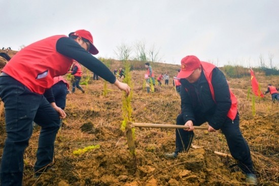 湖南新田：掀起植树造林高潮热潮 图1