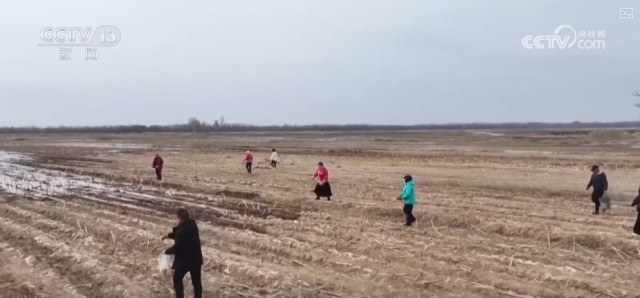 候鸟翔集、万物和谐！多样化保护勾勒美丽中国更美新画卷 图7