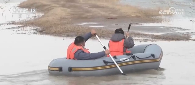 候鸟翔集、万物和谐！多样化保护勾勒美丽中国更美新画卷 图17