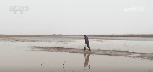 候鸟翔集、万物和谐！多样化保护勾勒美丽中国更美新画卷 图20