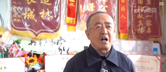 81岁宋忠华：种树20年_换得红松成林 图2