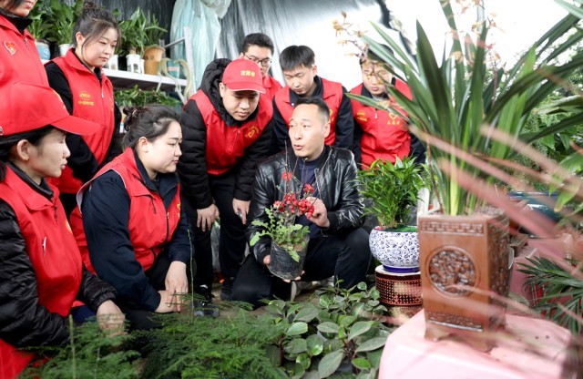 河北肃宁：志愿者植树造林助力绿色生态发展 图1
