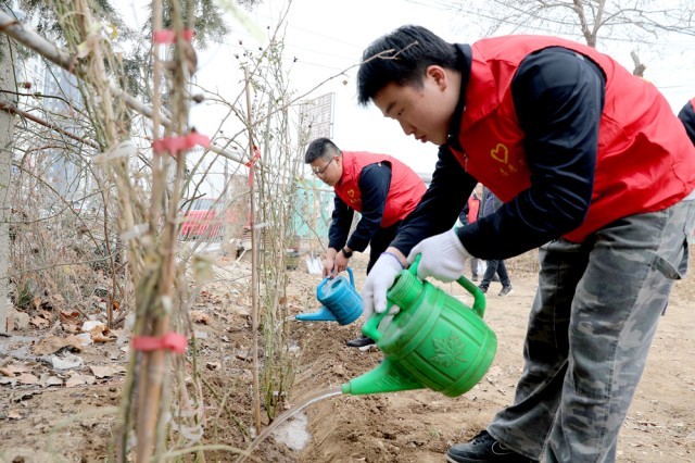 河北肃宁：志愿者植树造林助力绿色生态发展 图4